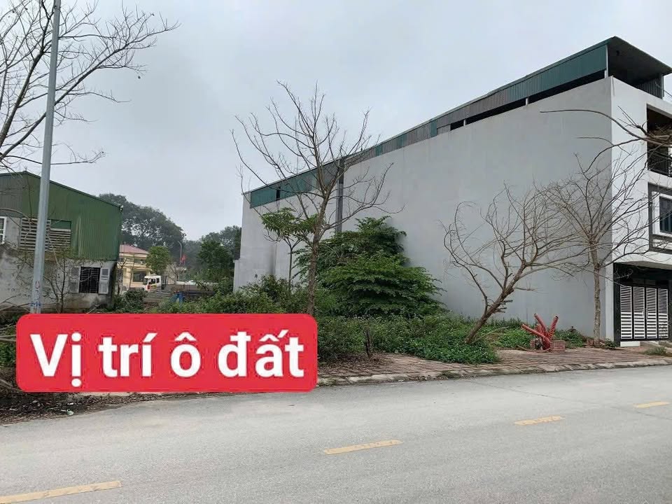 Đất nền phân lô Đồng Tâm, Vĩnh Yên 100m² giá chỉ 2.x tỷ - Sổ đỏ đầy đủ!