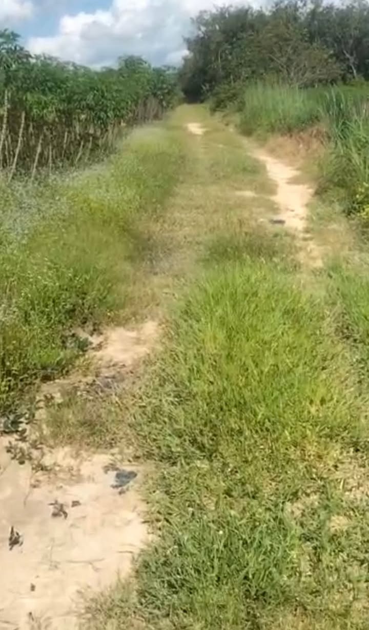 Đất nông nghiệp Ấp Vịnh, Châu Thành, Tây Ninh 50.000m² - Đầu tư sinh lời hấp dẫn!