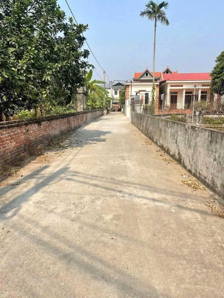 Đất nền Xã Vân Tảo, Thường Tín 107m² giá chỉ 7.115 tỷ - Đầu tư sinh lời hiệu quả!