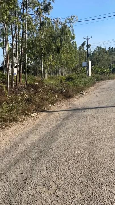 Lô đất Kông Chro 104.5m² giá 600 triệu - Cơ hội đầu tư không thể bỏ lỡ!