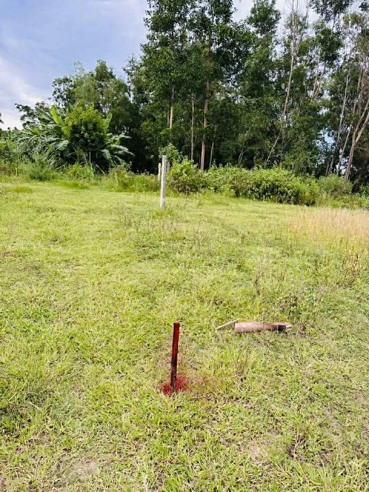 Lô đất Phú Hưng Bình Tân 240m² giá chỉ từ 2 tỷ - Cơ hội đầu tư hấp dẫn!