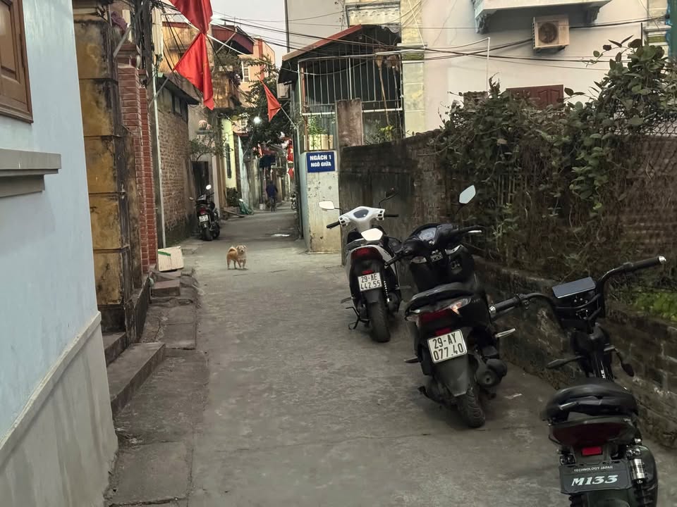 Đất nền Thôn Đình Tổ, Thường Tín 56m² giá 6.45 tỷ - Tiềm năng tăng giá mạnh!