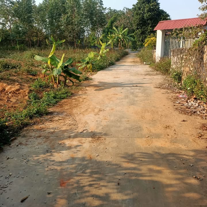 Đất nền Lan Mẫu Lục Nam 85m² giá chỉ 600 triệu - Đầu tư sinh lời ngay!