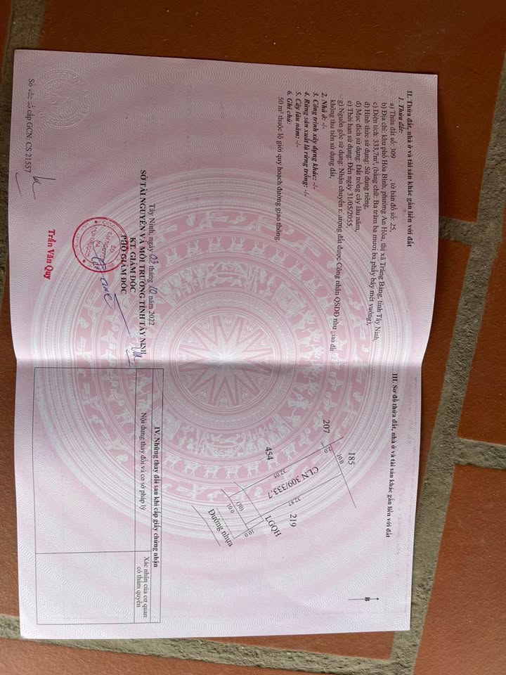 Đất Mặt Tiền Đường Nhựa Kp Hòa Bình, Trảng Bàng 320m² - Giá Rẻ, Tiềm Năng Tăng Giá!