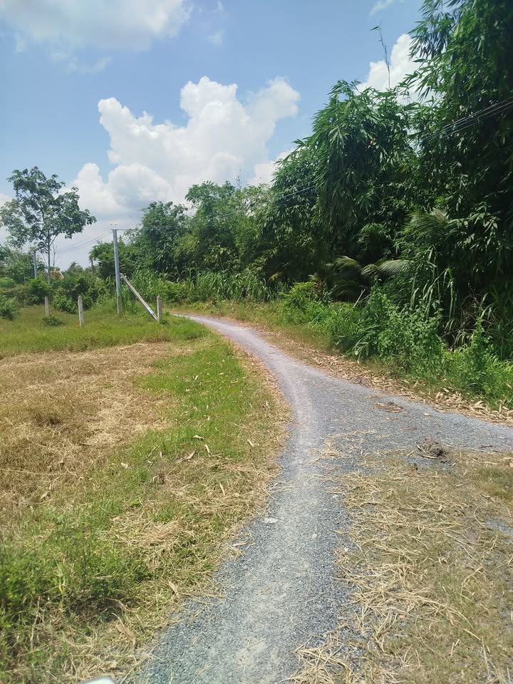 Đất thổ cư Trảng Cỏ, Đôn Thuận, Trảng Bàng 137m² giá 850 triệu - Sổ hồng chính chủ!