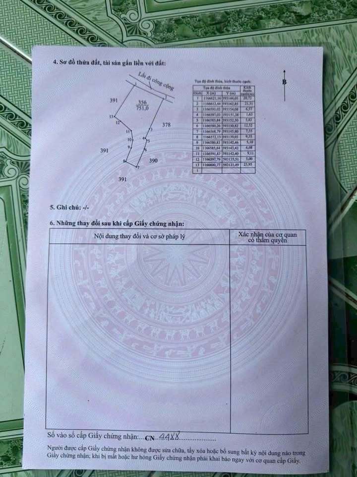 Đất nền giá tốt 2.000m² Mỹ Lệ, Cần Đước – Đầu tư sinh lời ngay!