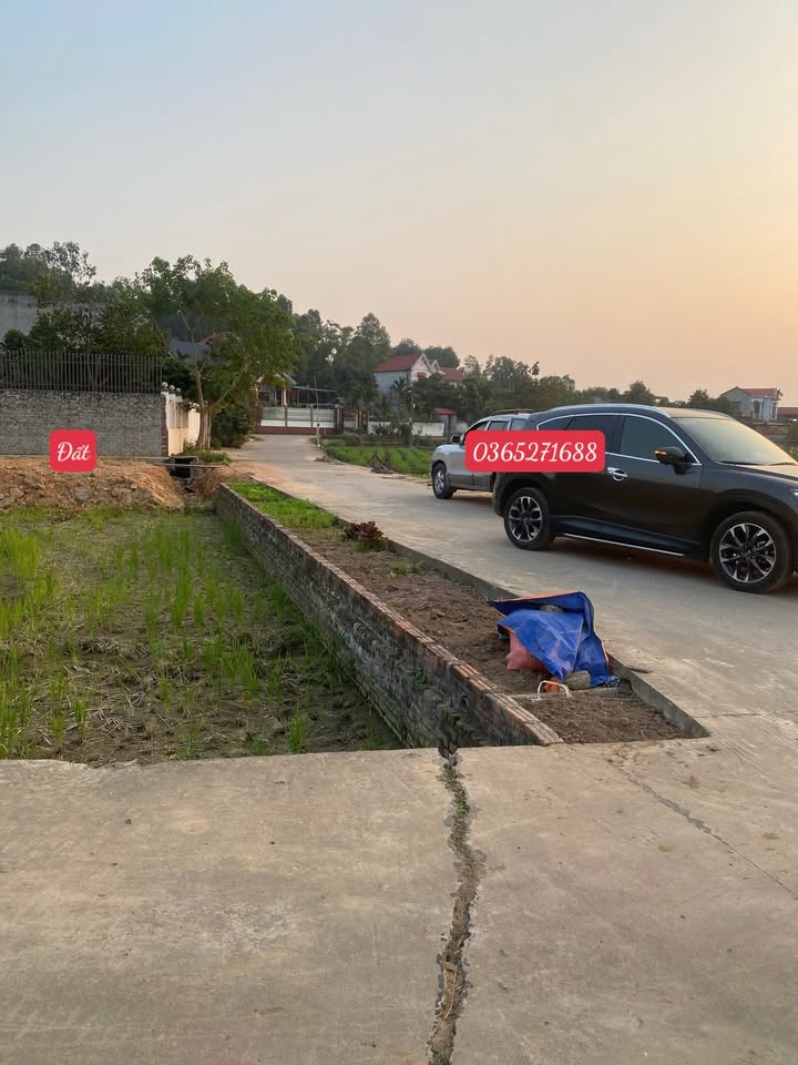 Đất thổ cư TDP Toàn Thắng, P. Tân An, 124.8m² giá 2 tỷ - Cơ hội đầu tư tuyệt vời!