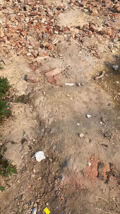 Đất thổ cư 393m² tại Huyện Tân Yên, Bắc Giang - Giá chỉ 10 triệu/m², cơ hội đầu tư tuyệt vời!