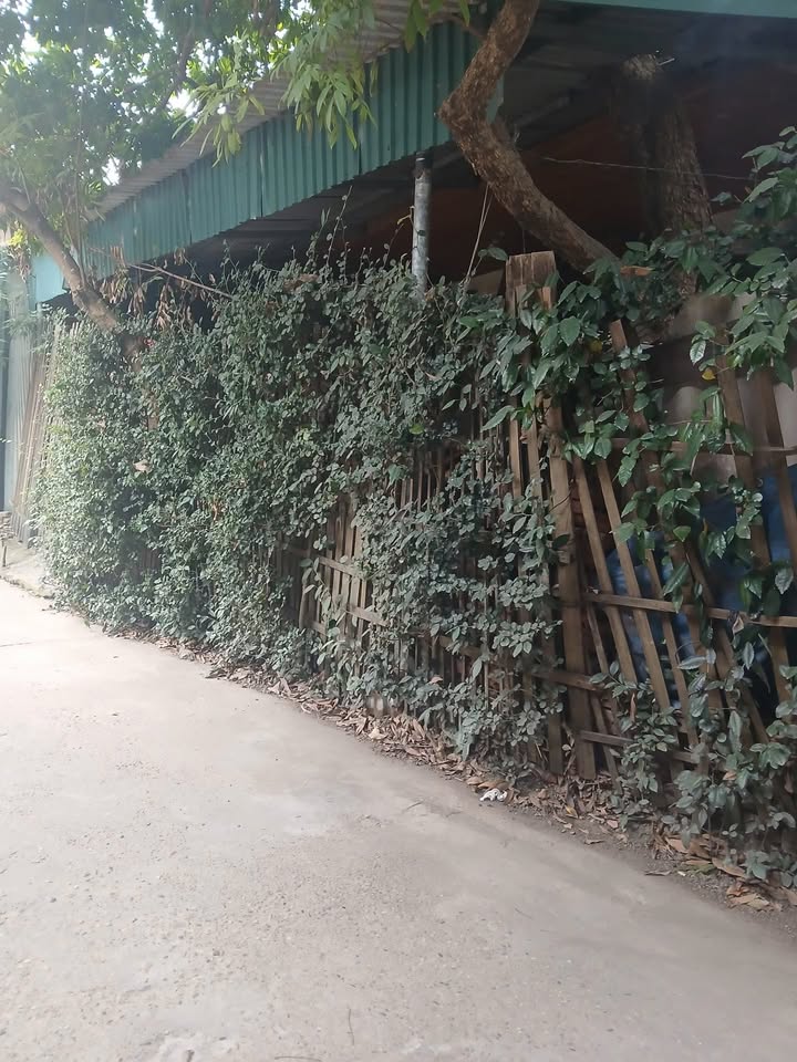 Đất liền kề bến Gót, phố Hồng Hà 2 - Diện tích 71m², Giá 1 tỷ - Cơ hội đầu tư hấp dẫn!