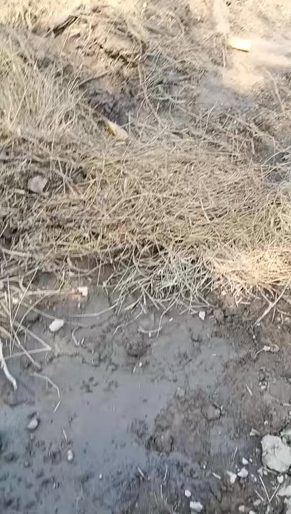 Đất nền xã Xuân Thành, huyện Xuân Lộc 12.000m² giá 21 tỷ - Cơ hội đầu tư sinh lời!