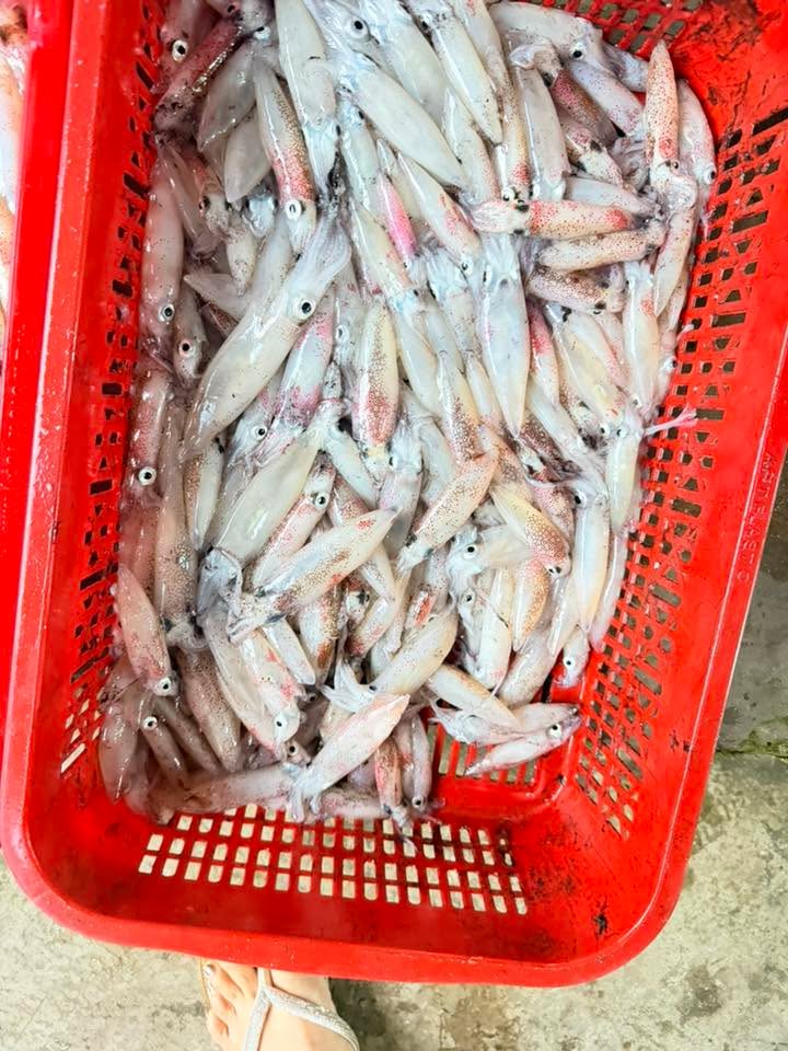 Đất thổ cư xã Bình Giang, Thăng Bình 240m² chỉ 400 triệu - Sổ đỏ chính chủ