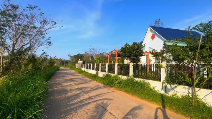 Đất nền Xã Bình Chánh, Huyện Thăng Bình 3000m² giá 900 triệu - Sổ hồng chính chủ, vị trí đẹp!