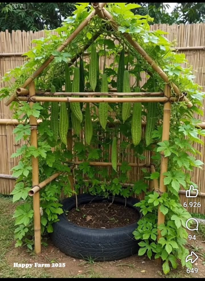 Nhà cấp 4 400m² tại Xã Đắk Rơ Wa, giá 850 triệu - Mặt tiền kinh doanh lý tưởng!