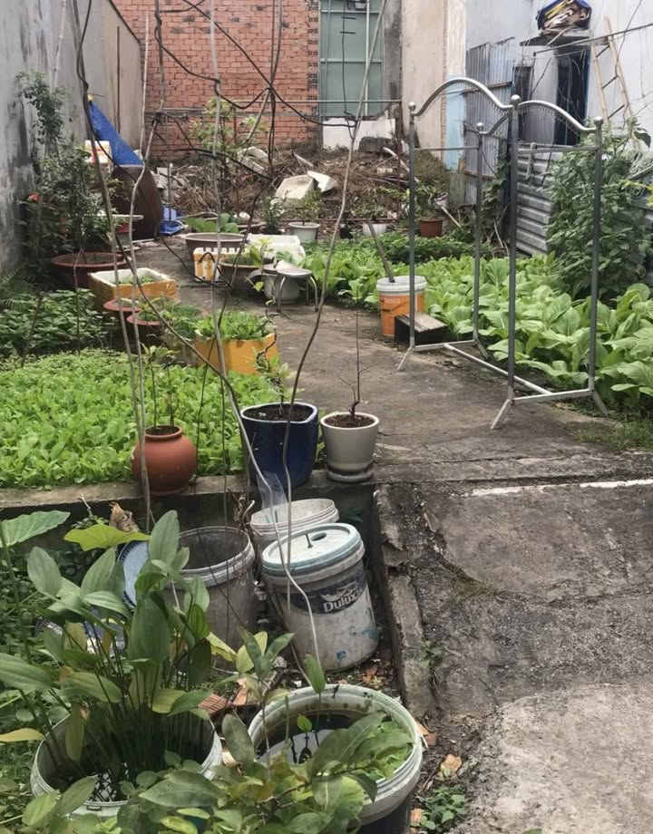 Đất đầu tư hẻm xe hơi Đường số 6, Phường Linh Tây 72m² giá 4.3 tỷ - Cơ hội sinh lời lớn!