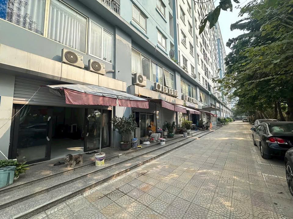 Căn hộ Ecohome 1, Quận Bắc Từ Liêm 41m² giá 3.x tỷ - Vừa ở vừa kinh doanh tuyệt vời!