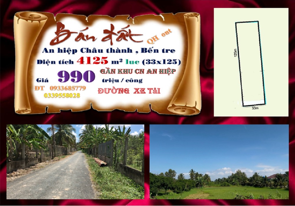 Đất An Hiệp, Châu Thành, Bến Tre 4125m² giá 4.1 tỷ - Pháp lý rõ ràng, đầu tư sinh lời!
