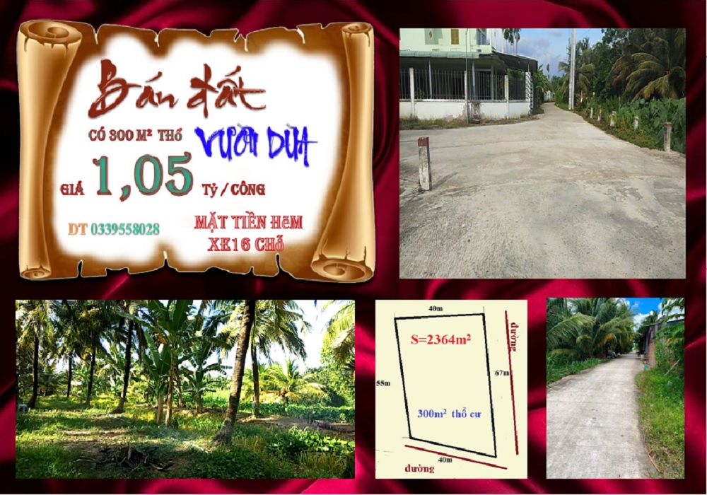 Vườn dừa Phú Đức, Bến Tre 2364m² giá 2.482 tỷ - Đầu tư sinh lời hấp dẫn!