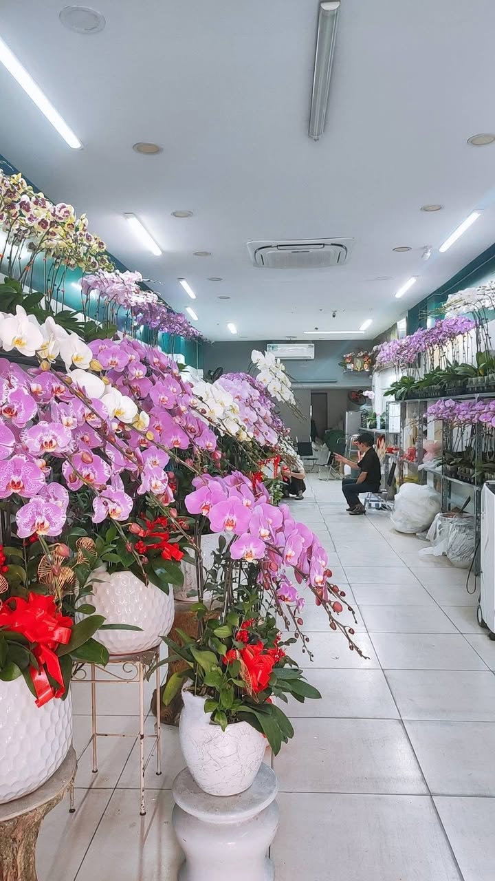 Mặt tiền kinh doanh Hoàng Văn Thụ, 119m² giá 23.99 tỷ - Cơ hội đầu tư hấp dẫn!