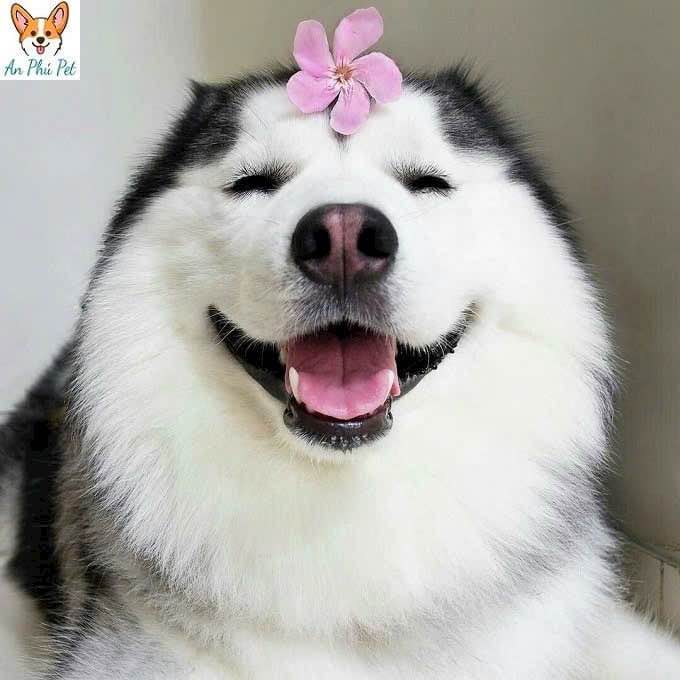 Nhà riêng Xã Bình Chánh 190m² giá 5.6 tỷ - Sổ riêng thổ cư, đường xe tải thông