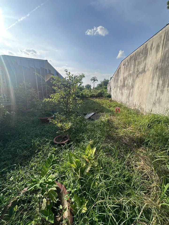 Đất nền phường Tam Hiệp, Biên Hòa 75m² giá 1.45 tỷ - Sổ hồng chính chủ, vị trí đẹp!