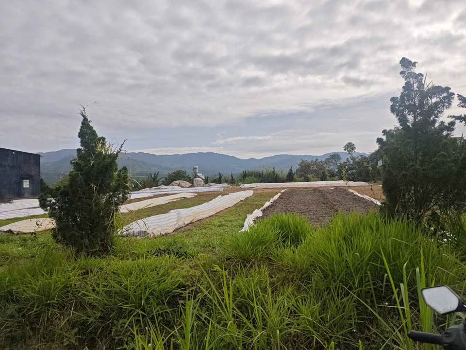 Đất thổ cư 3500m² tại Lộc Quảng - Cắt lỗ chỉ 5.5 tỷ!