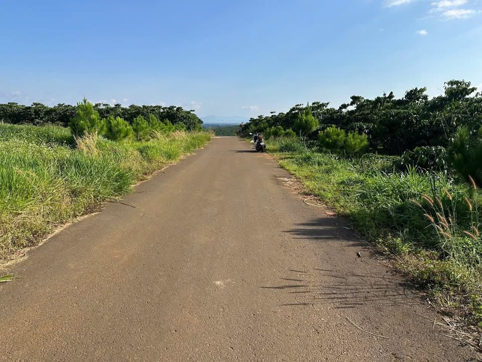 Đất thổ cư Hẻm 106 Đoàn Thị Điểm 1100m² giá 2.8 tỷ - Thương lượng ngay!