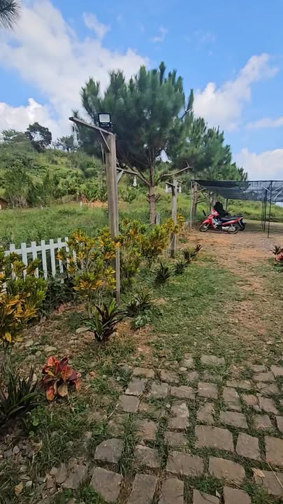 Đất thổ cư 384m² hẻm Trần Phú, Bảo Lộc - Giá chỉ 3.6 tỷ, thương lượng ngay!