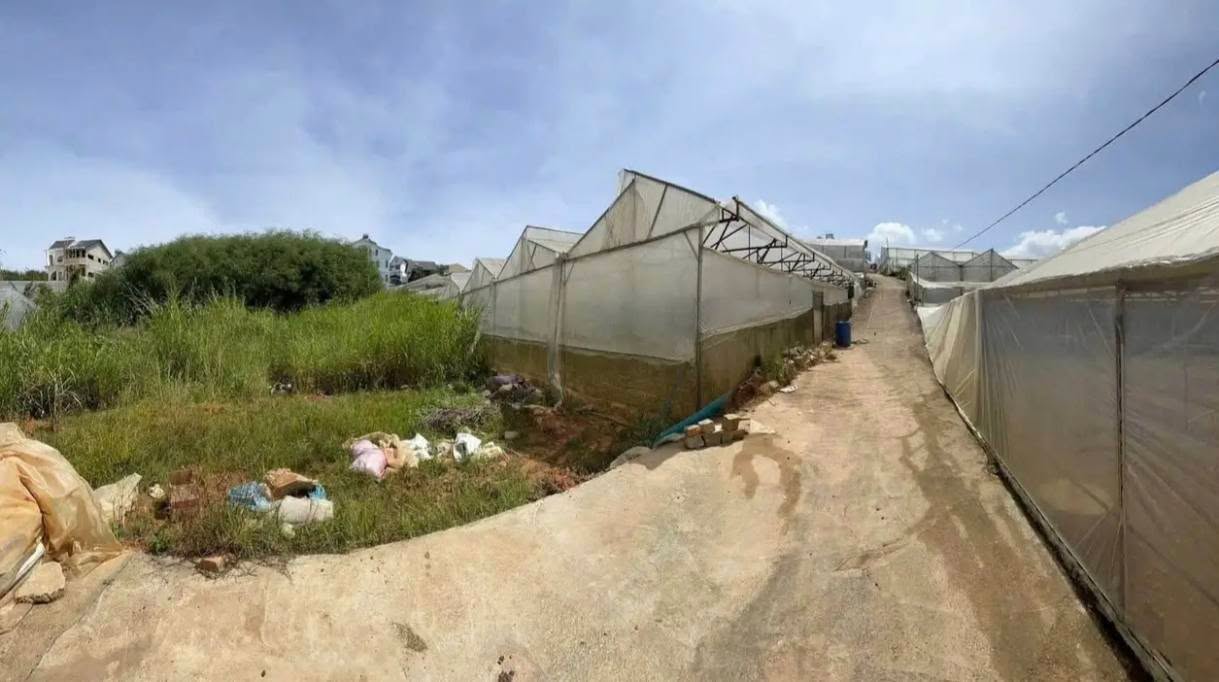 Đất nền hẻm xe hơi Mai Xuân Thưởng Đà Lạt 200m² giá 6.5 tỷ - Cơ hội đầu tư hấp dẫn!