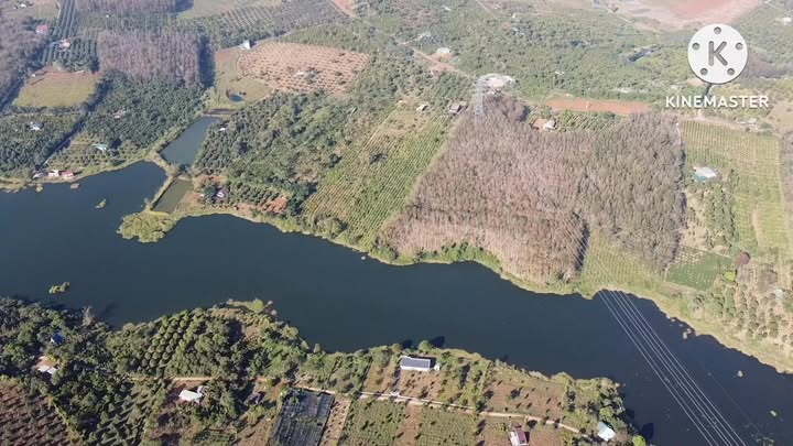 Đất farm 1,4ha tại Đắk Sin, Đắk Nông - 900 triệu/năm thu nhập ổn định!