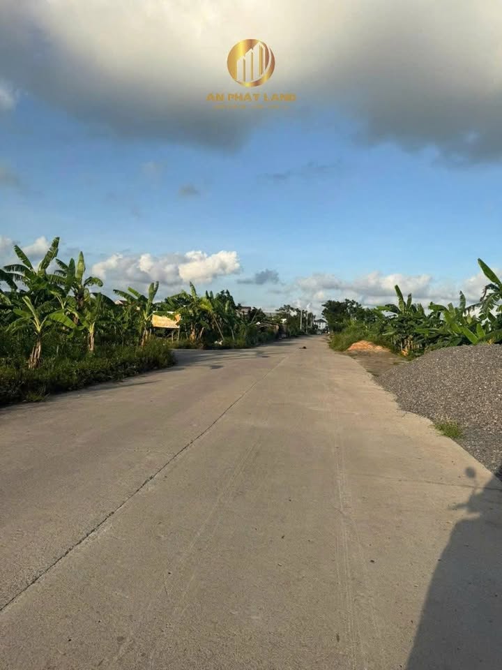 Đất mặt đường N1, xã Ninh Khang, 120m² - Đường mở rộng 24m sắp tới!