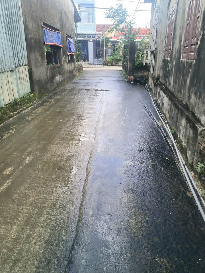 Đất nền thổ cư Thôn Nam Thành, Hòa Vang, 135m² - Không ngập lụt, giá tốt!