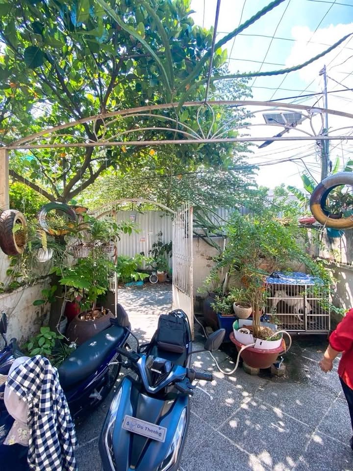 Bán đất hẻm 3m Lê Văn Lương, Quận 7, 95m² giá nhỉnh 6 tỷ - Đầu tư sinh lời lý tưởng!