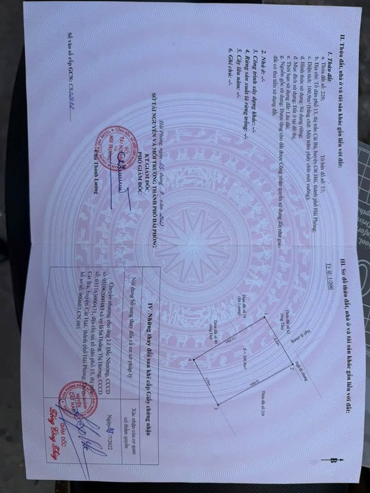 Đất nền trung tâm Cát Bà 100,9m² giá 2,8 tỷ - Tiềm năng khai thác cao!