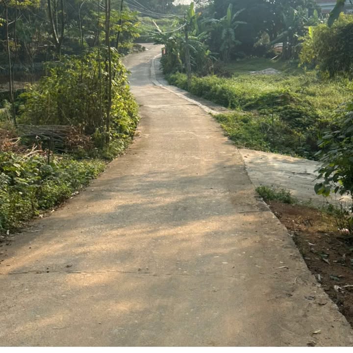 Đất nền Thanh Đình, Việt Trì 100m² giá 800 triệu - Cơ hội đầu tư tuyệt vời!