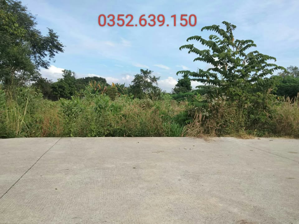 Đất nền 1000m² Xã Châu Pha - Bà Rịa - Vũng Tàu giá chỉ 1.8 tỷ - Cơ hội đầu tư hấp dẫn!