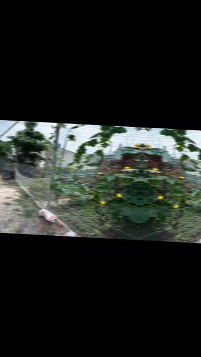 Nhà vườn nghỉ dưỡng tại Quận 12 - Diện tích 190m², Giá 3.5 tỷ - Đầu tư lý tưởng!