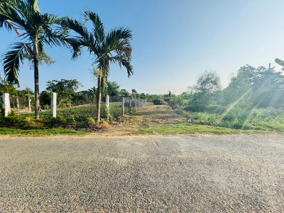 Đất nền Gò Công 328m² giá 1.5 tỷ - Mặt tiền đường nhựa, gần chợ