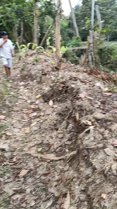 Đất nền 15,000m² tại Hiệp Đức, Cai Lậy - Giá 900 triệu, đầu tư sinh lời ngay!