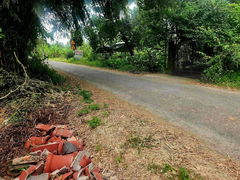 Đất nền Khu B4 mới, Huyện Đức Hòa 200m² - Đầu tư lý tưởng cho vườn cây!