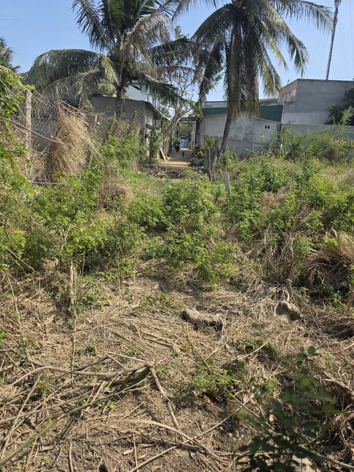 Đất nền An Thạnh 100m² giá chỉ 750 triệu - Sổ hồng chính chủ, pháp lý rõ ràng!