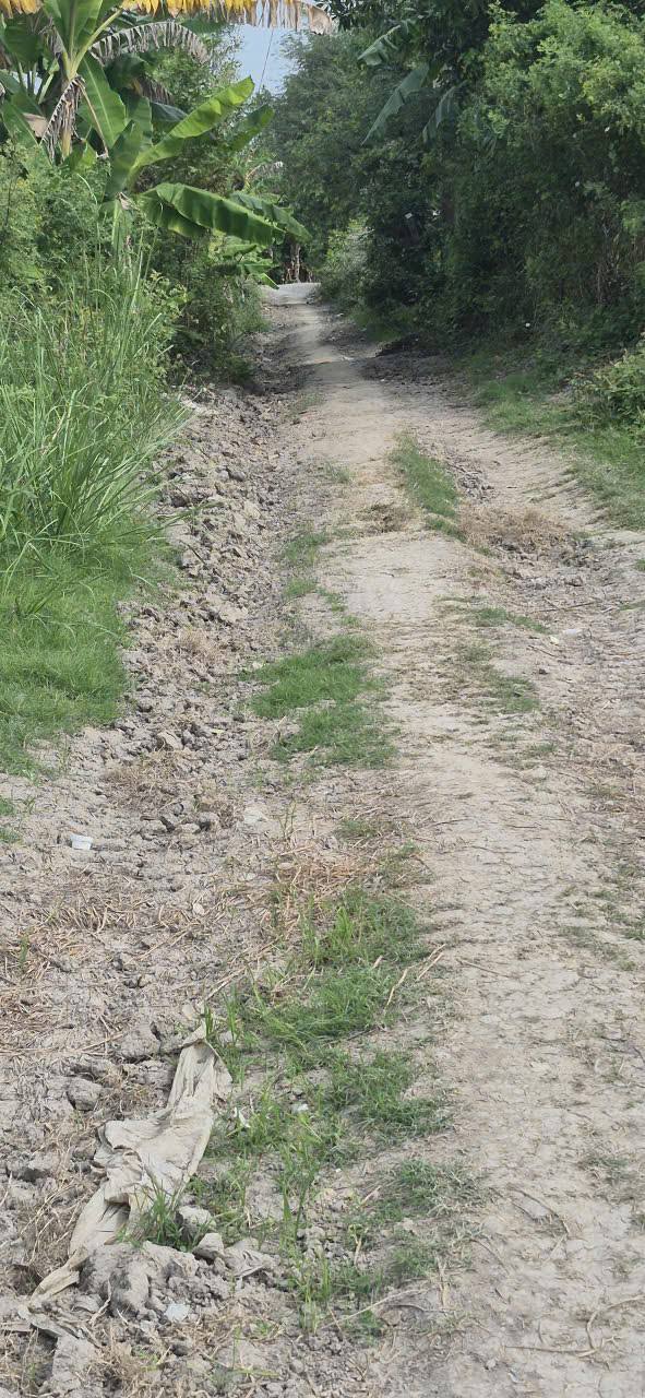 Đất nông nghiệp 8,6 công tại Xã Thoại Sơn, An Giang - Giá chỉ 8,6 tỷ VND!