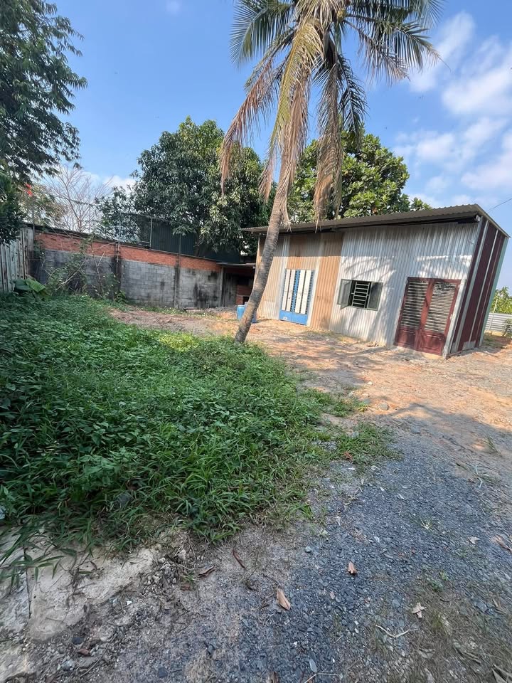 Đất sổ đỏ ấp 4 Nhị Bình 277m² giá 3.2 tỷ - Đường xe tải thuận tiện di chuyển!