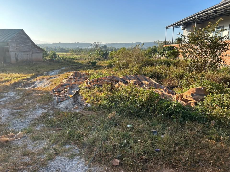 Đất nền xã Đắk Môl, huyện Đắk Song, 5200m² giá 850 triệu - Mặt đường nhựa, khu dân cư đông đúc!