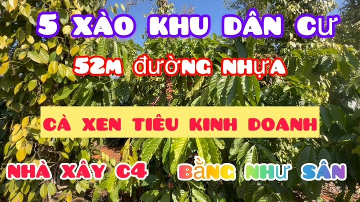 Đất nền 5100m² tại xã Thuận Hạnh, huyện Đắk Song - Giá 2.5 tỷ, sổ hồng chính chủ!