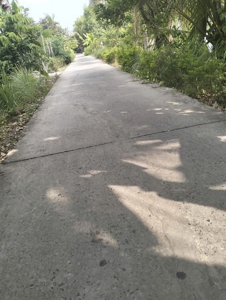 Đất vườn 5000m² tại Xã Vĩnh Hòa, An Giang - Giá chỉ 1.1 tỷ, sổ đỏ chính chủ!