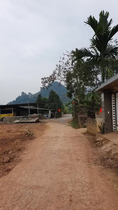 Đất thổ cư Phong Châu, Phú Thọ 703m² - Mặt tiền 40m, đầu tư sinh lời tuyệt vời!