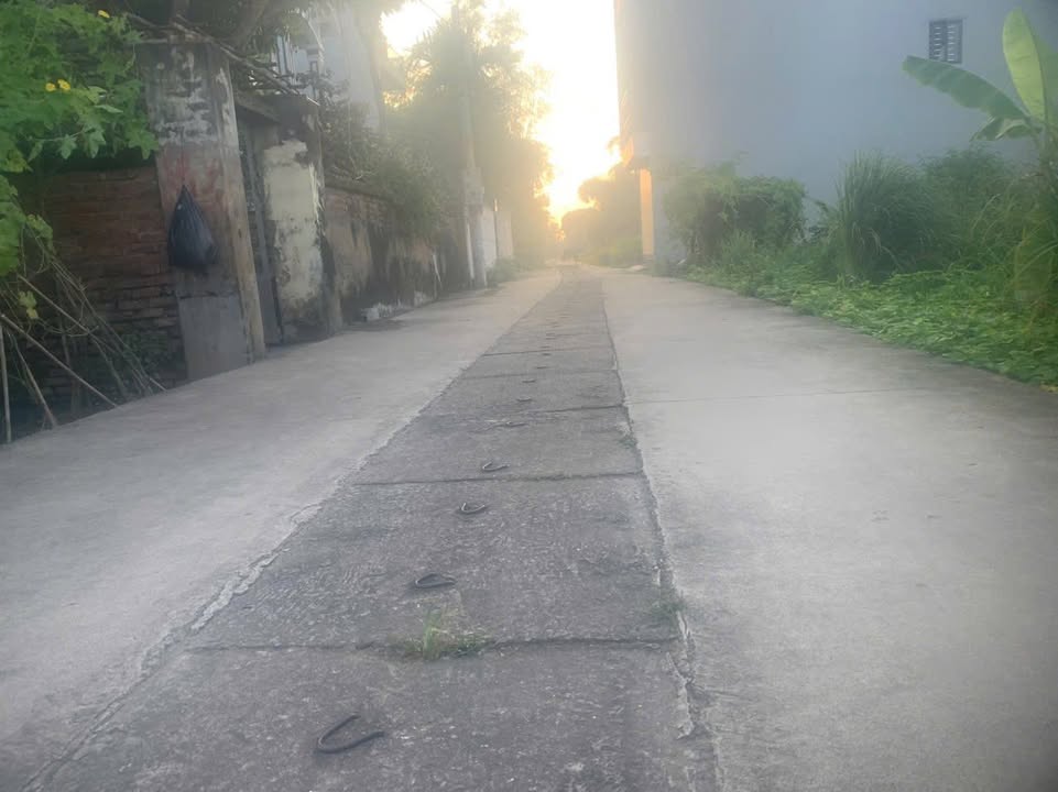 Đất nền Tổ 10, Xã Phù Lỗ, Huyện Sóc Sơn, 125m², giá 4.75 tỷ - Cơ hội đầu tư hấp dẫn!