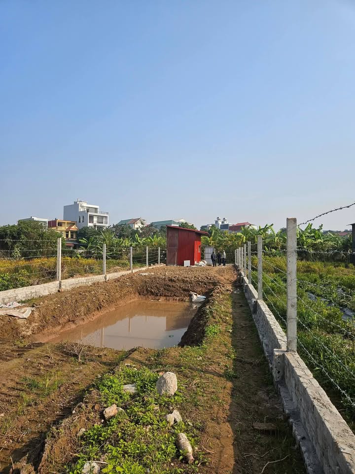 Đất nền 1000m² mặt tiền 13m tại Yên Mỹ - Chỉ 2,8 tỷ, cơ hội đầu tư tuyệt vời!