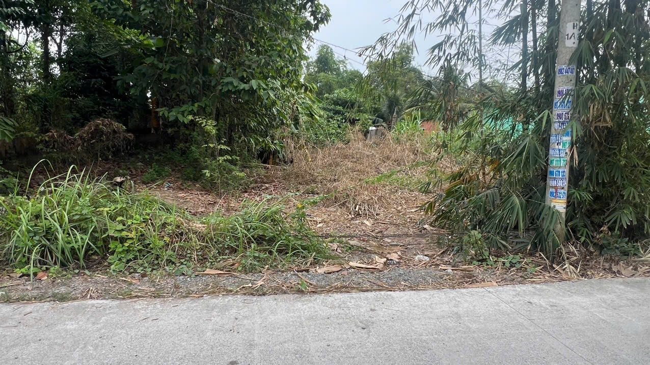 Lô đất 235m² tại Hòa Khánh Đông, Đức Hòa, giá 1.25 tỷ - Sổ riêng, thổ cư