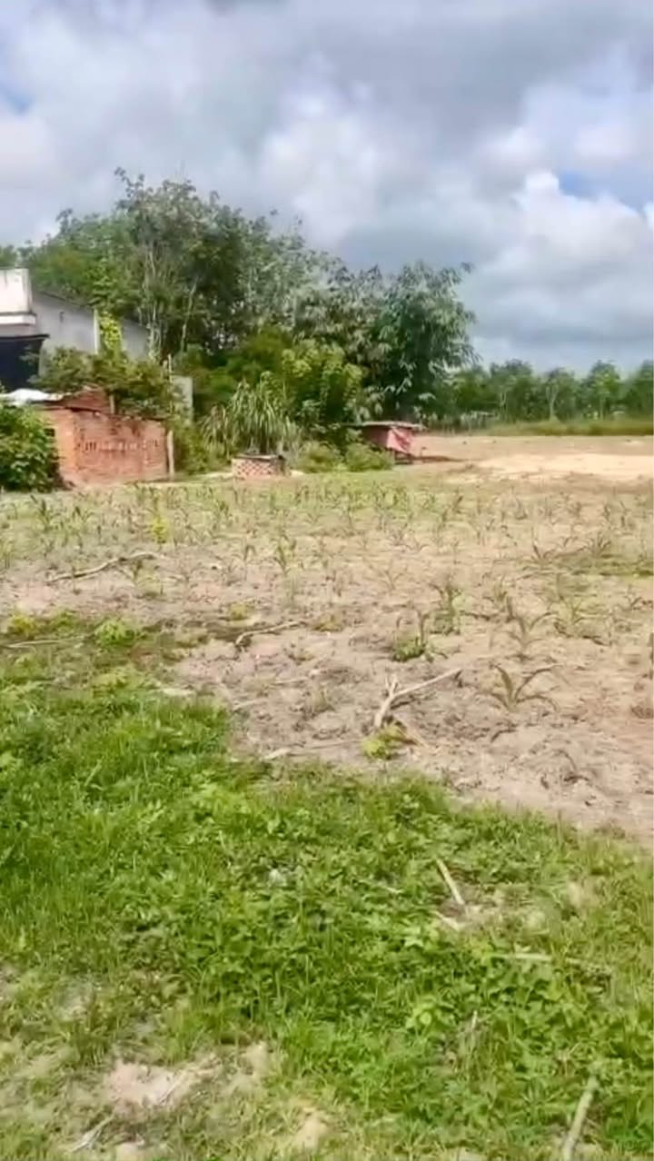 Đất nền Xã Minh Thạnh, Huyện Dầu Tiếng 2880m² giá chỉ 700 triệu - Sổ sẵn, sang tên ngay!